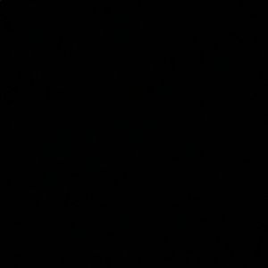 Meet your Posher, Noel